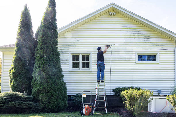 Boat and Dock Cleaning in Powell, AL